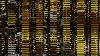 Casey Reas Signal to Noise (Software 3)