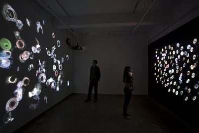 Daniel Canogar, Trace Installation View