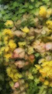 ra_m-h_floral-pigmentations_b_02_w