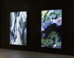 Sara Ludy, Subsurface Hell, bitforms gallery