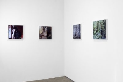 Alchemical installation view