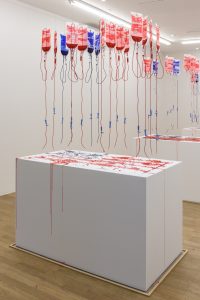 Addie Wagenknecht, American Flag 1 Installation view