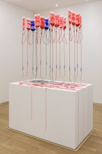 Addie Wagenknecht, American Flag 3, installation view