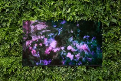 Quayola-x-LG-OLED-Jardins-dEte-4-art-plugged