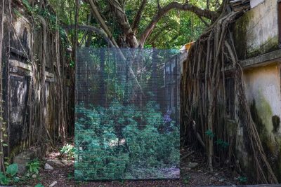 Transparent Garden (Macao Point Garden) by Clement Valla, 2023