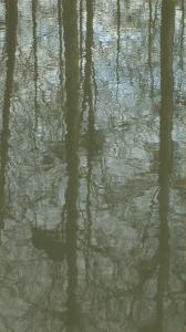 Reflection – 52 Hour Film by Jeffrey Blondes, 2007