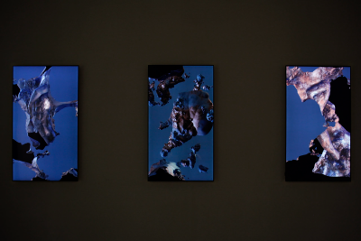 Captives #1 – Triptych by Quayola, 2013