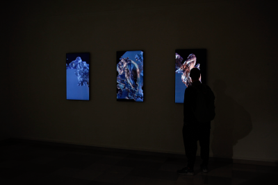 Captives #1 – Triptych by Quayola, 2013